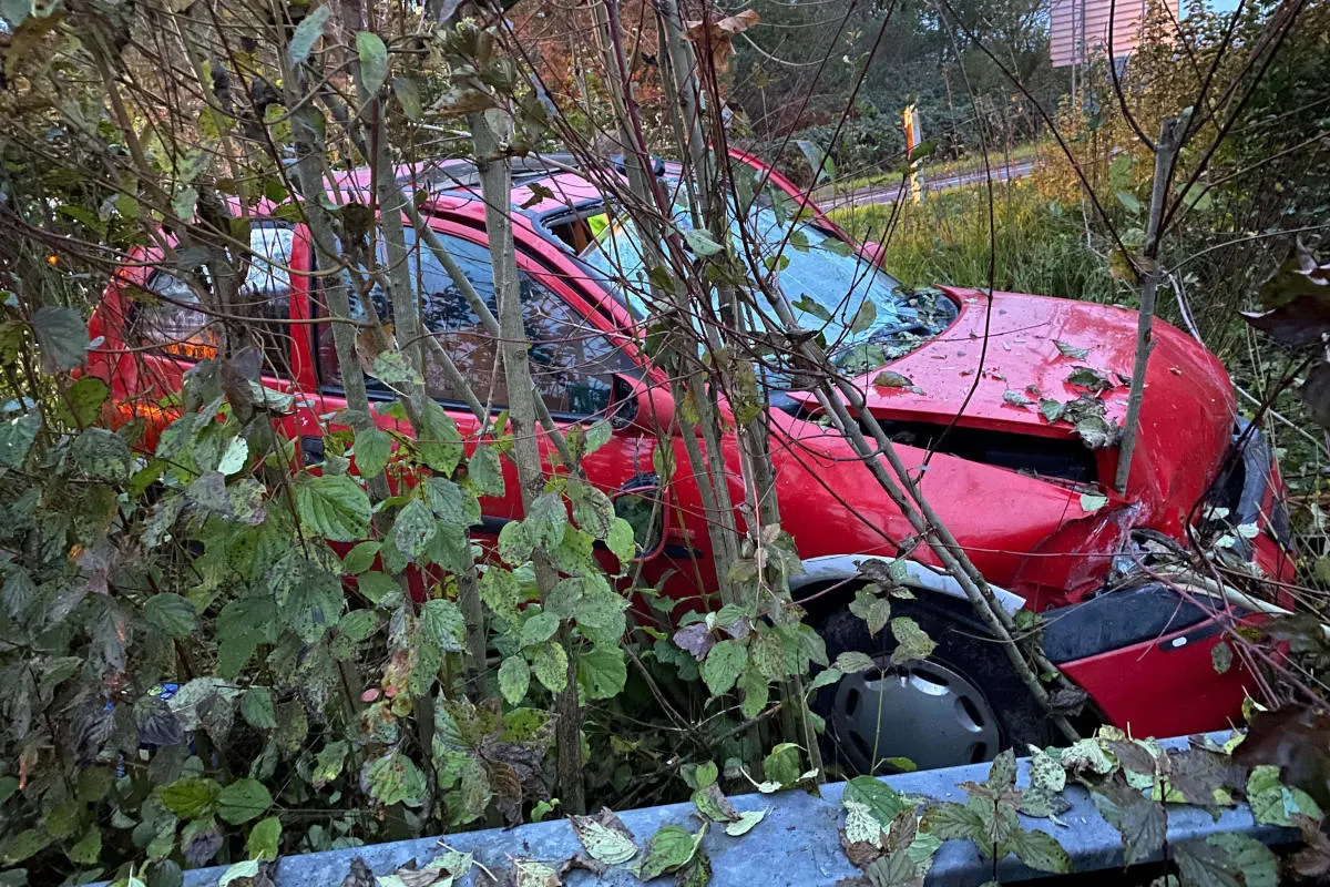 A14 Risch Rotkreuz ZG – Alkoholisierte Fahrt endet im Gebüsch