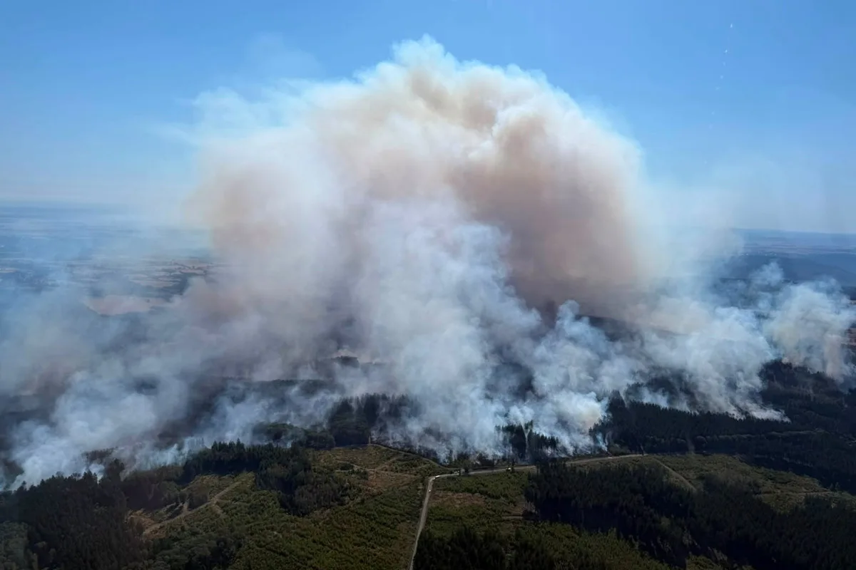 Eine große Rauchwolke steigt über einem Waldgebiet auf. Das Bild zeigt die Auswirkungen eines Waldbrandes aus der Luftperspektive.