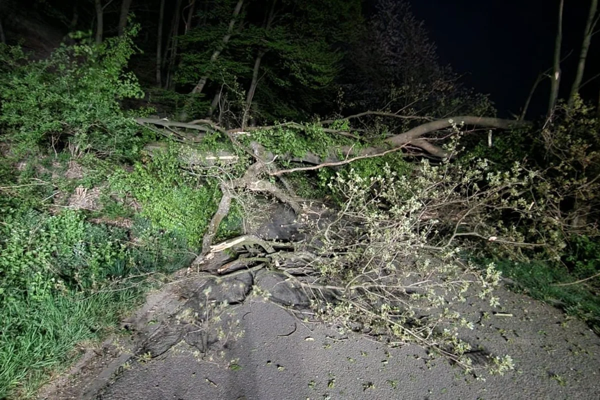 Gevelsberg - Mehrere Bäume versperren Straße