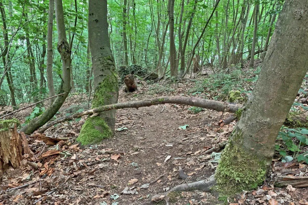 Wülfrath – Unverantwortliche Fallensteller gefährden Mountainbiker