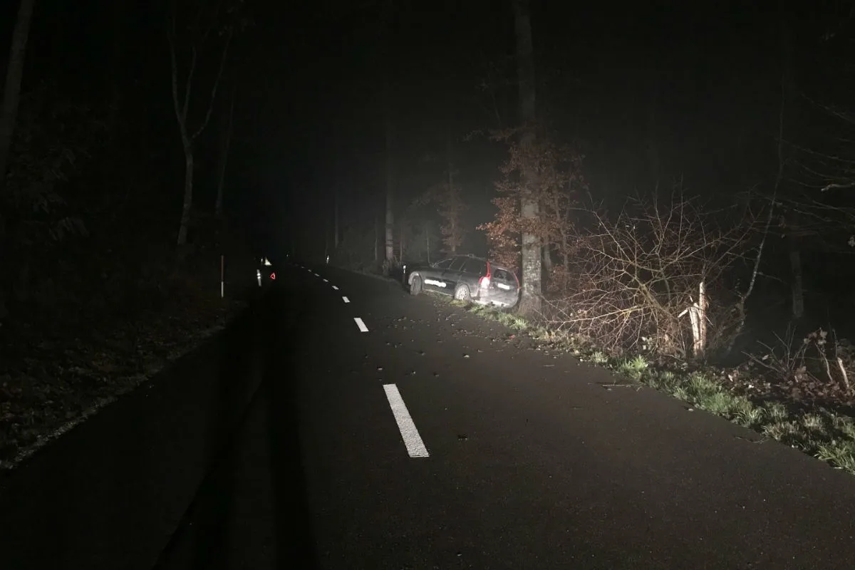 Stetten SH - Reh ausgewichen und in Baum geprallt