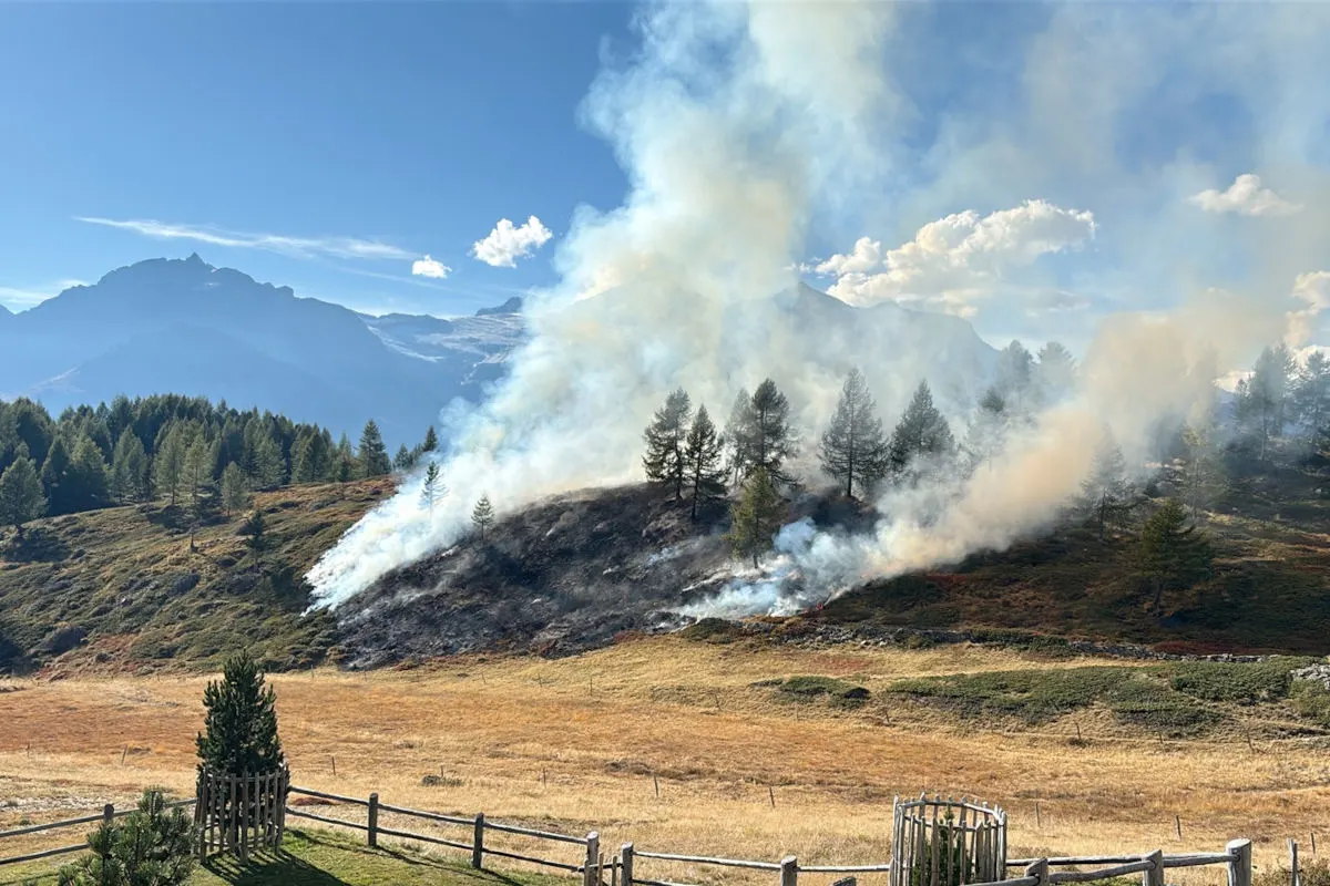 In einer hügeligen Landschaft mit Bäumen steigt dichter Rauch von einem Feuer auf, unter klarem Himmel.