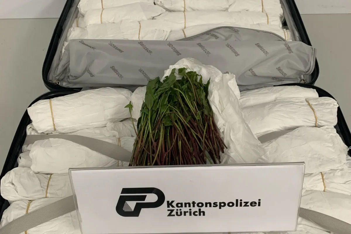 Glattbrugg / Zürich Flughafen ZH - Fünf Khat-Schmuggler verhaftet