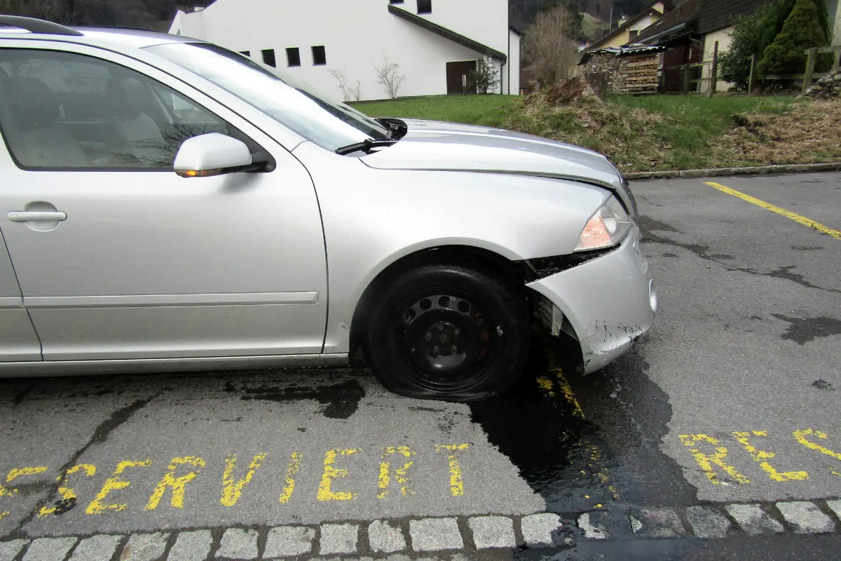 Mollis GL - Wegen Katze verunfallt