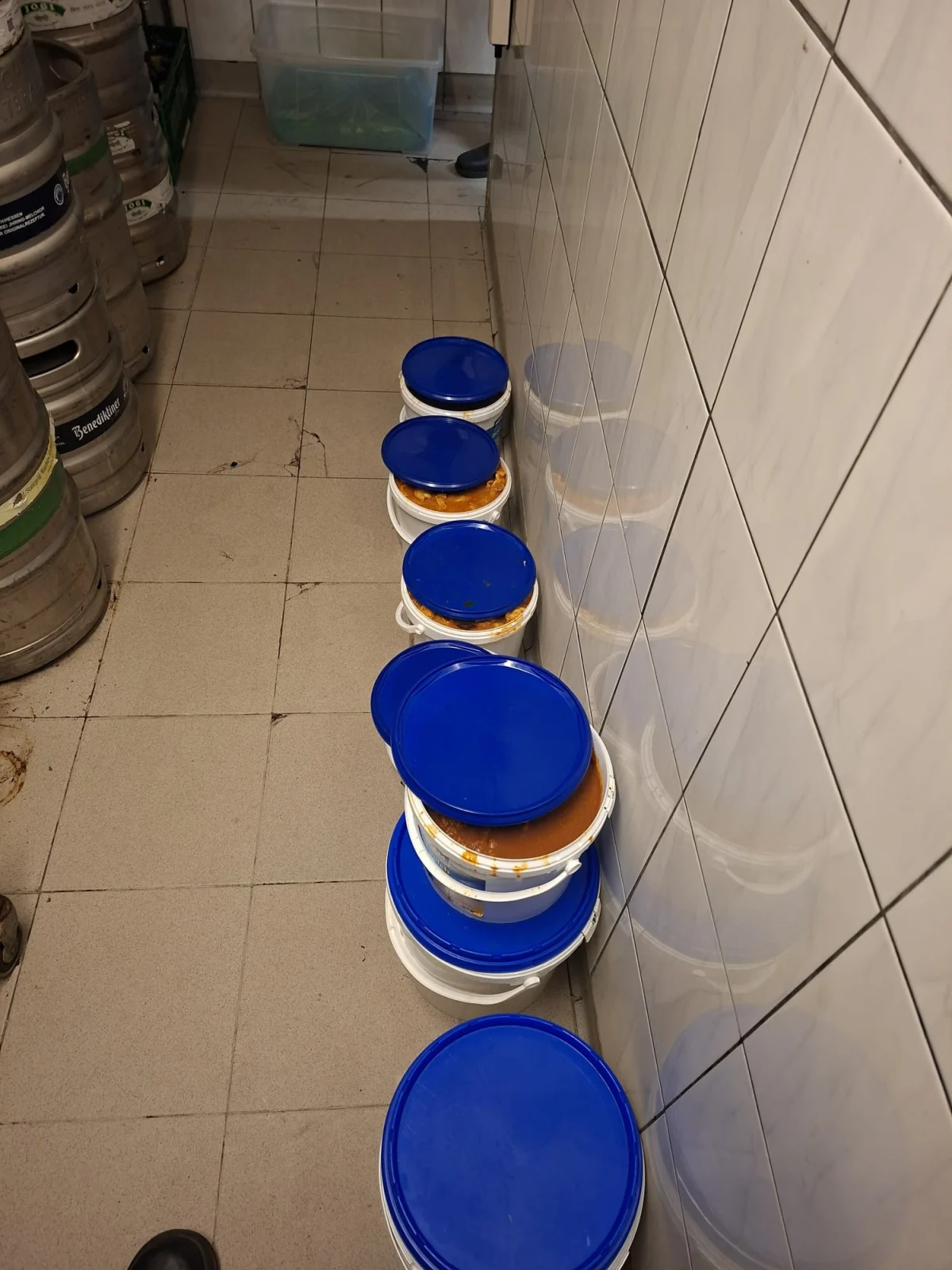 In einem gefliesten Lagerraum stehen weiße Eimer mit blauen Deckeln in einer Reihe neben Bierfässern. Rechts an der Wand ist ein Spiegelbild der Eimer zu sehen.