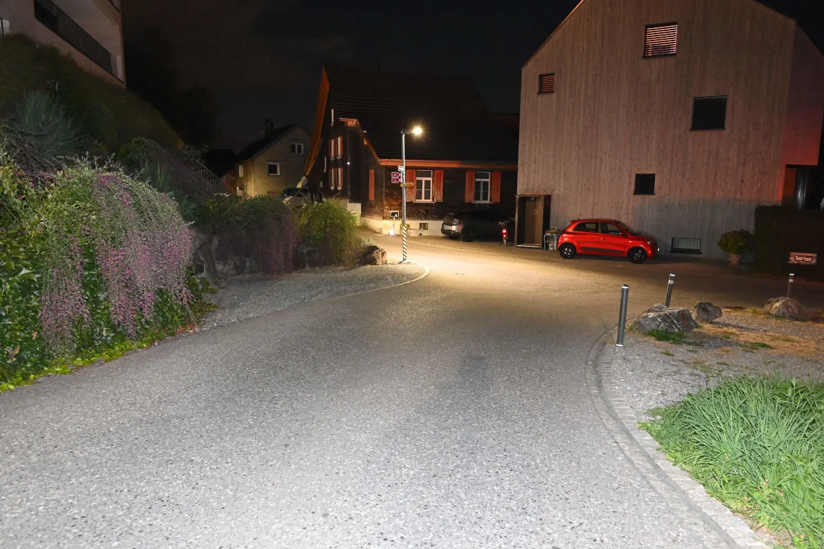 Die Nachtaufnahme zeigt eine ruhige Straße in einer Wohngegend mit einem geparkten roten Auto und Häusern im Hintergrund, beleuchtet von Straßenlaternen.