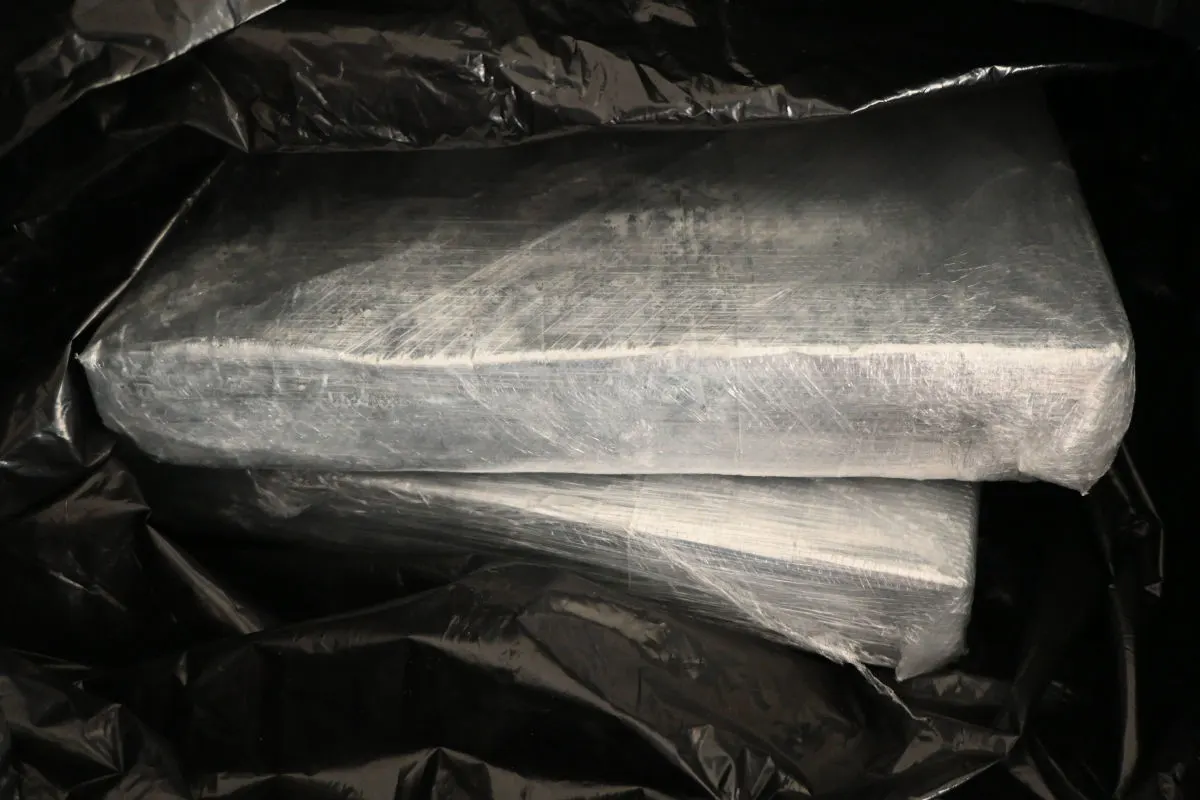 Das Bild zeigt zwei rechteckige Pakete, die in durchsichtiger Plastikfolie verpackt sind, eingebettet in schwarze Plastikhüllen.
