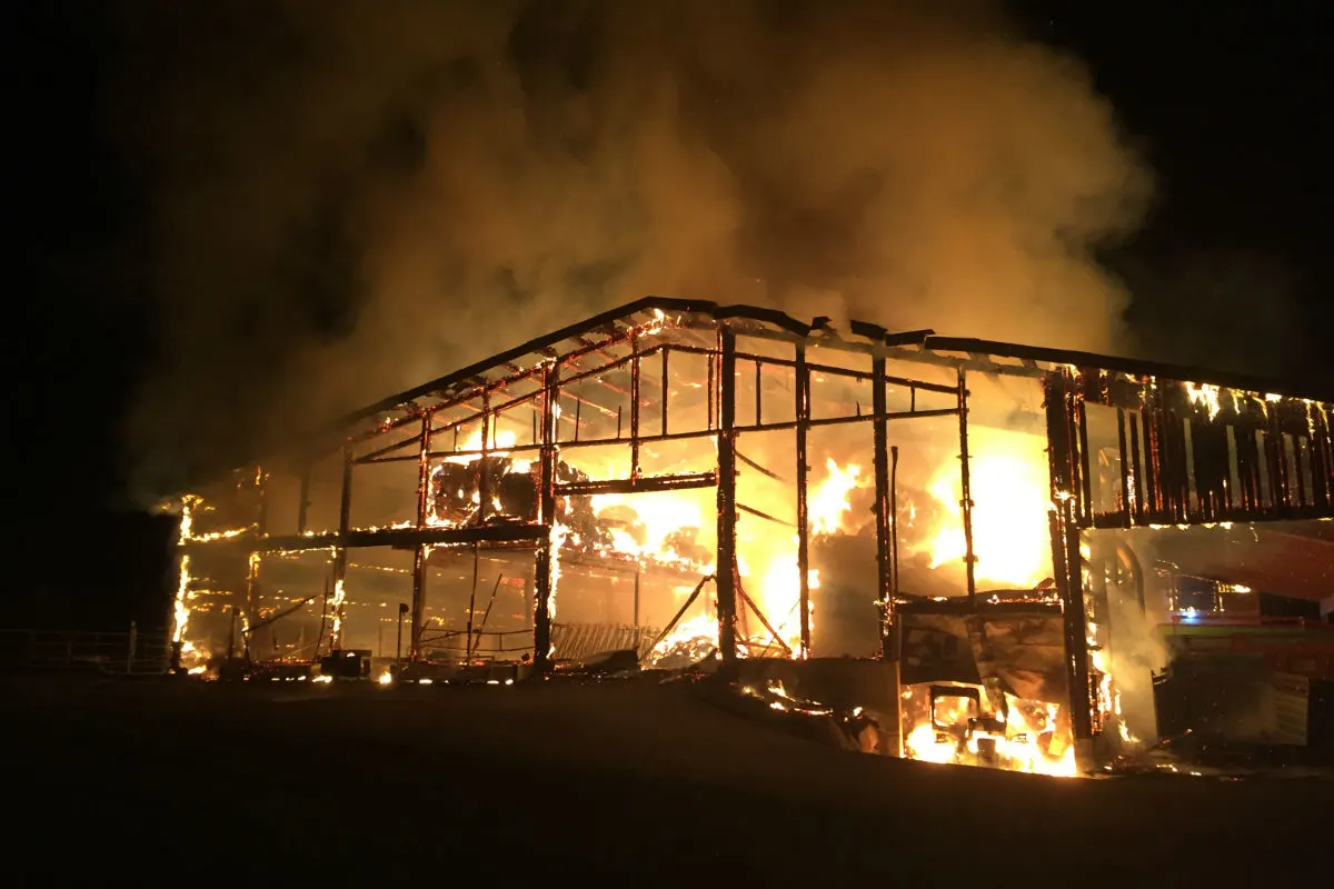 Montévraz FR - 60 Kühe verbrennen bei Stallbrand