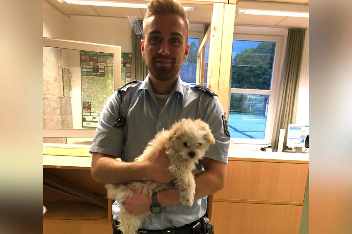 A45 Dortmund – Gassigehen in Freudenberg: Autobahnpolizei stoppt Hundetransport mit Ziel England