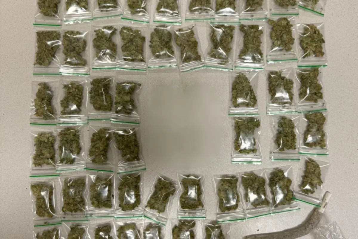 Wien – Festnahme nach Cannabishandel