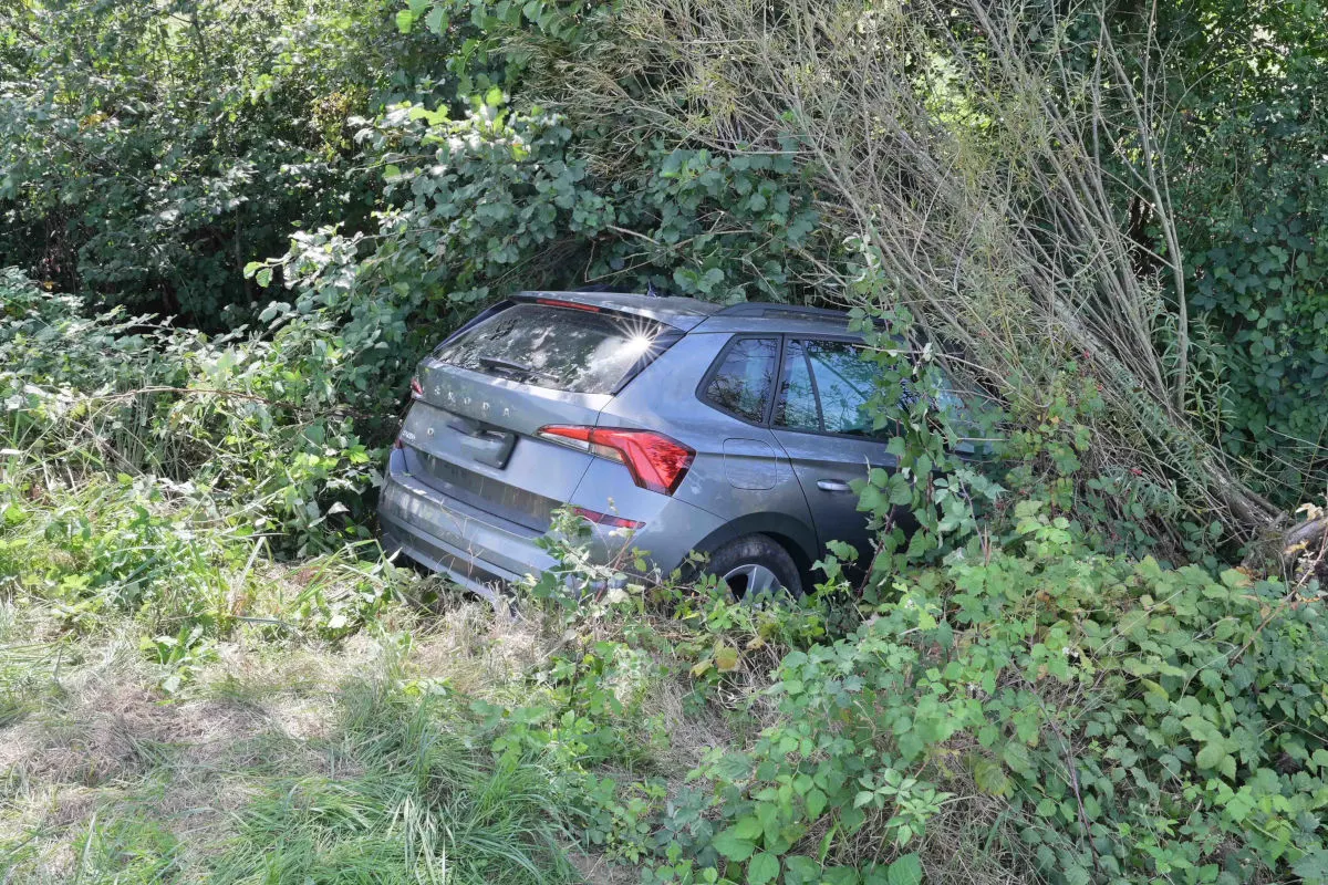 Ein dunkler SUV ist von der Straße abgekommen und in dichtes Gebüsch geraten. Das Fahrzeug ist von Pflanzen umgeben.