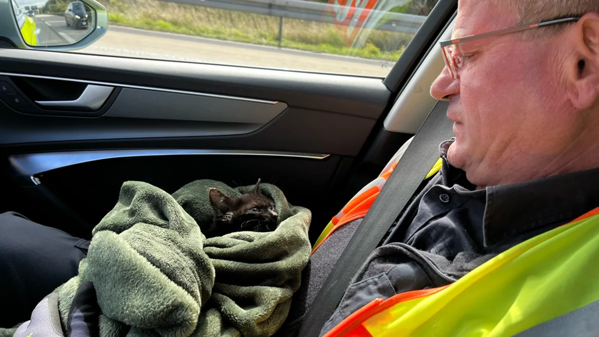Ein Mann in einer Warnweste sitzt auf dem Beifahrersitz eines Autos und hält eine schwarze Katze, die in einer Decke eingewickelt ist. Die Katze liegt ruhig auf seinem Schoß.