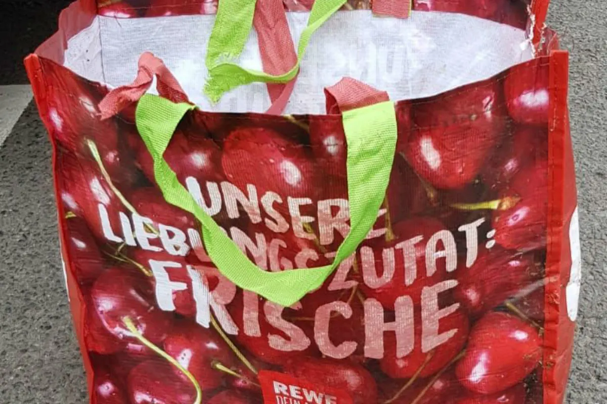 Geköpfte Schlange 2,5m am Waldrand gefunden 