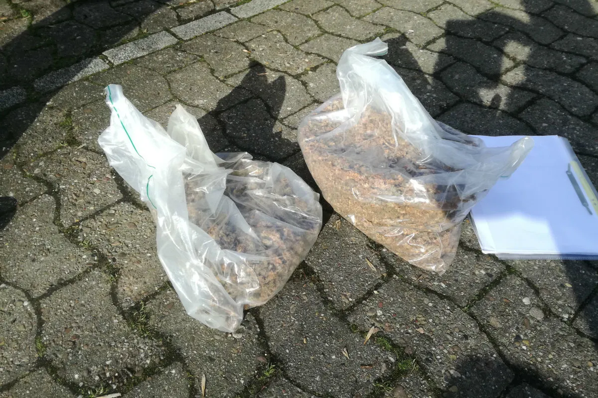 Zoll pfändet unbeabsichtigt Marihuana