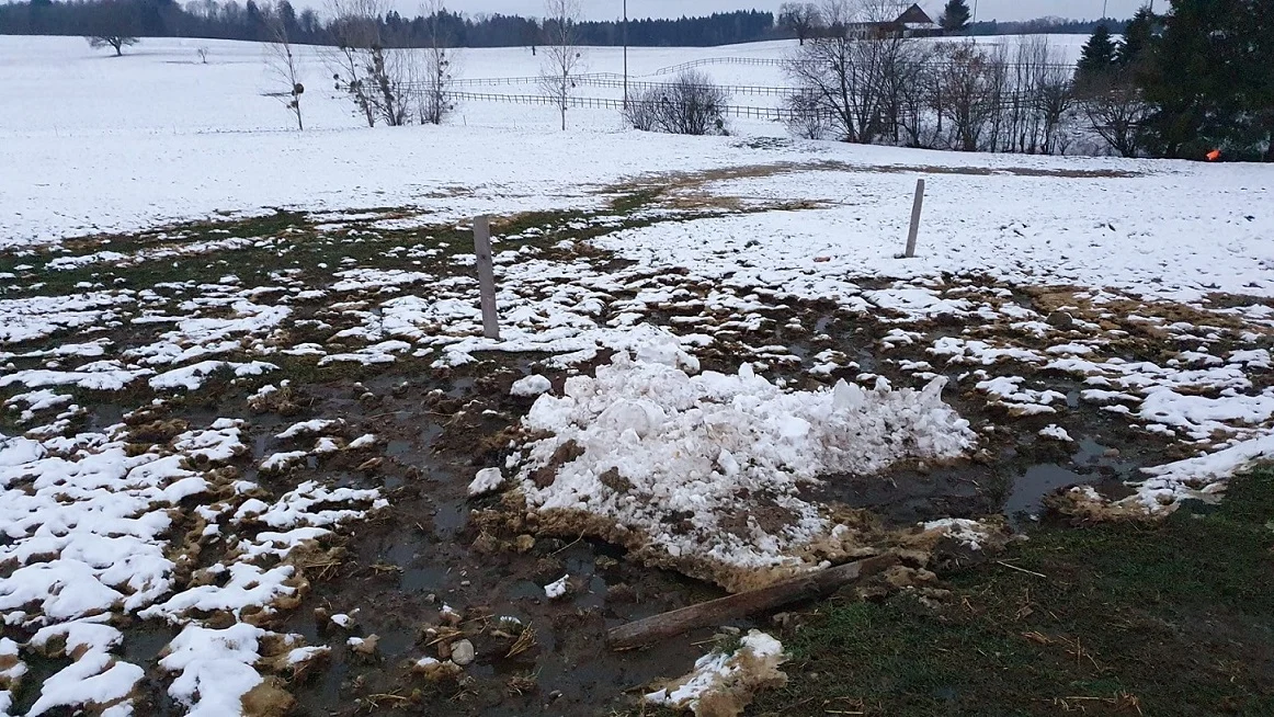 Lentigny FR – Verschmutzung eines Baches