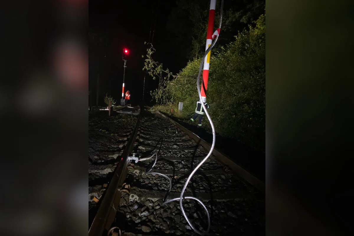 Detmold – Brennender Baum auf Bahn-Oberleitung