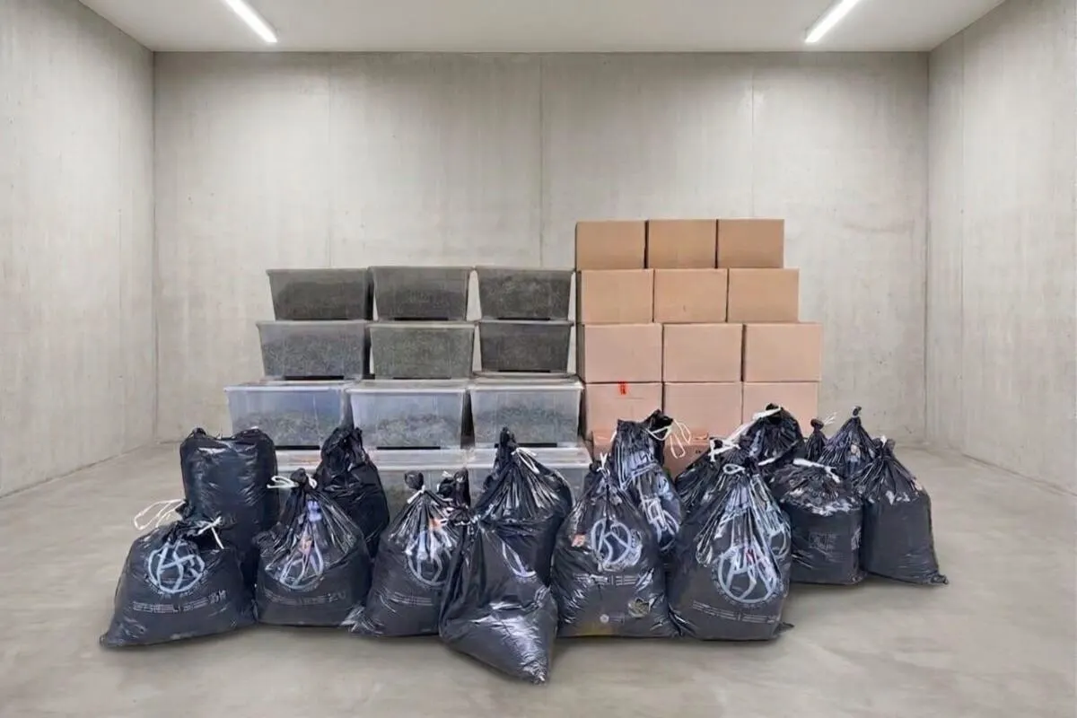 Zürich/Spreitenbach AG – Grosse Hanf-Indooranlage ausgehoben