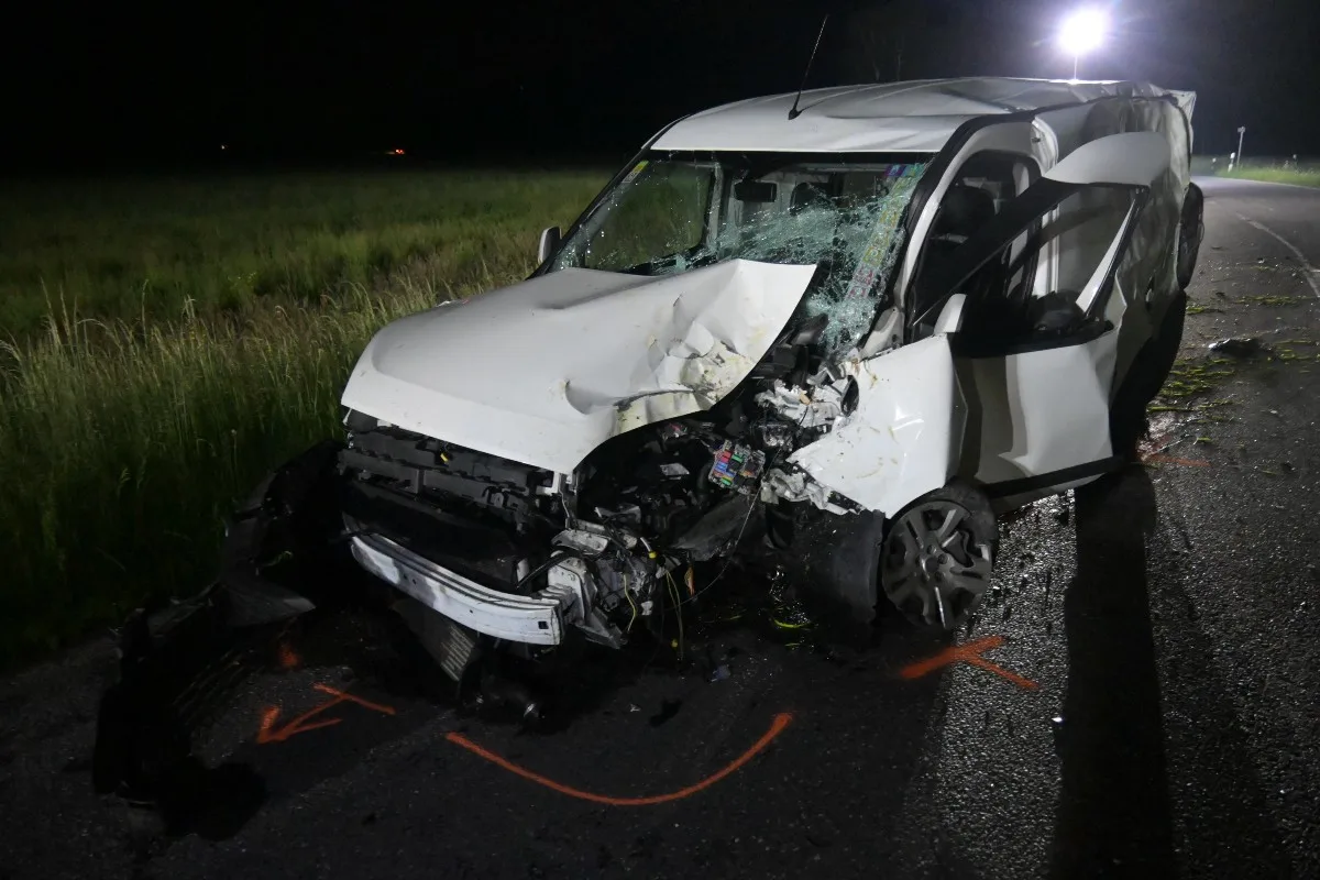 Unfall Ruggell FL - Überholmanöver endet auf der Noflerstrasse mit Kollision gegen Baum