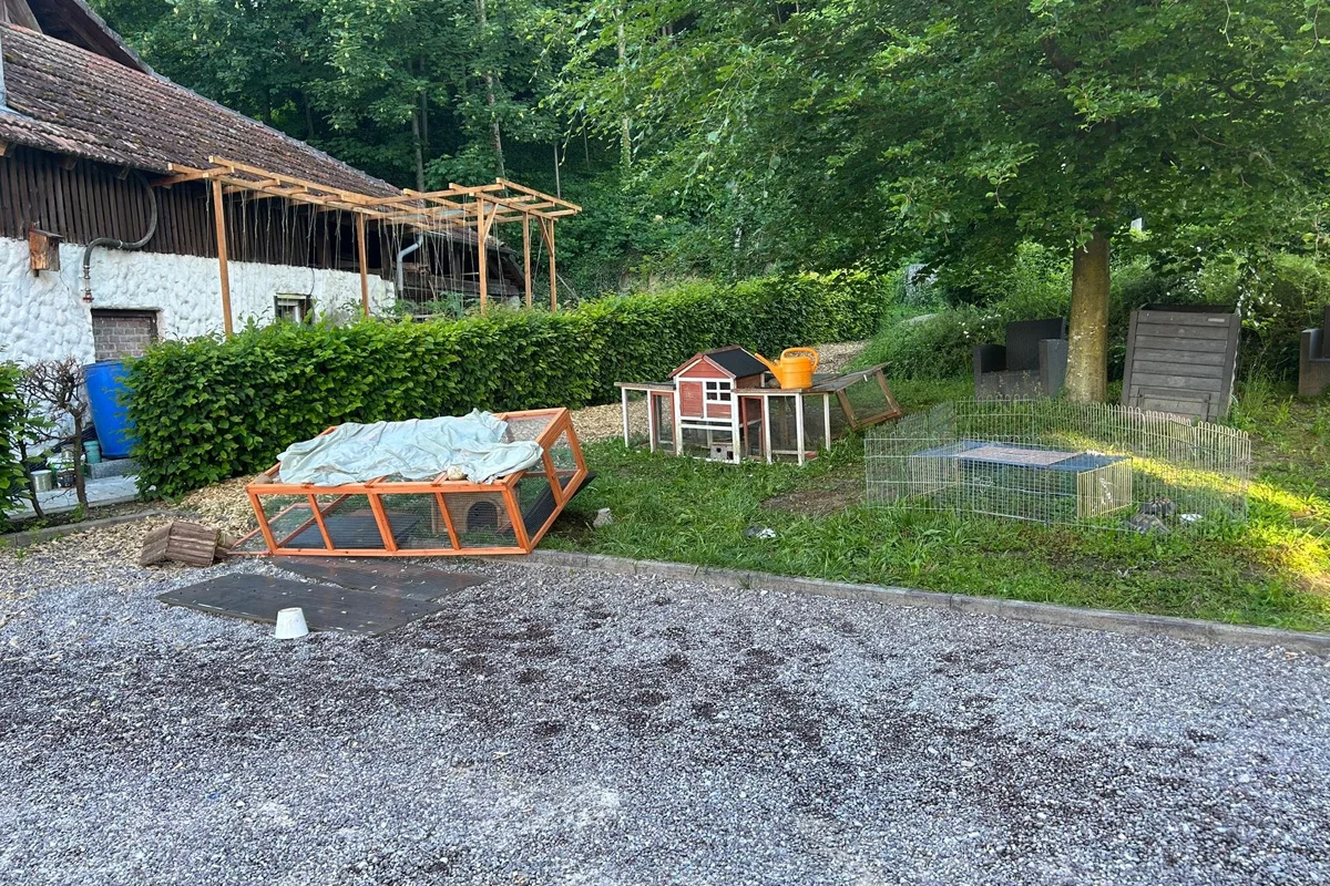 Das Bild zeigt ein Hühnergehege neben einem kleinen roten Gartenhaus und einem großen Baum. Der Boden besteht aus Kies und Gras, umgeben von Hecken und einem alten Gebäude.