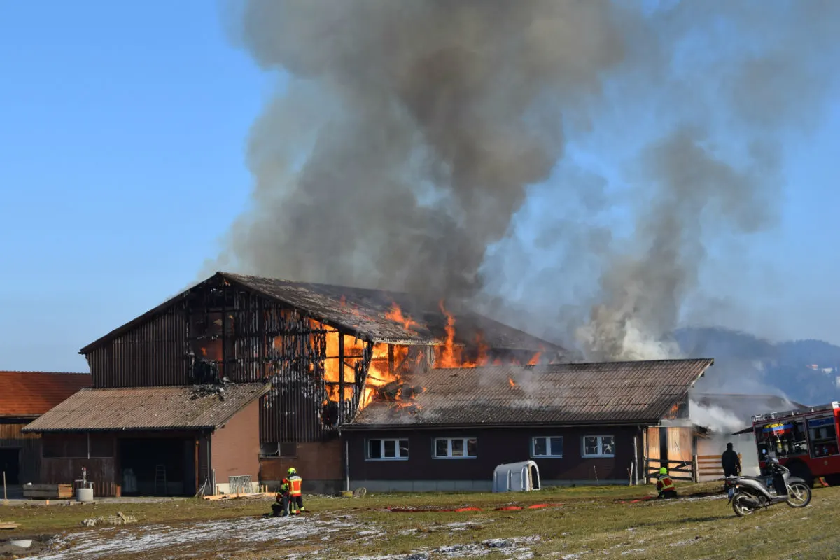 Stein AR - Stall fängt Feuer