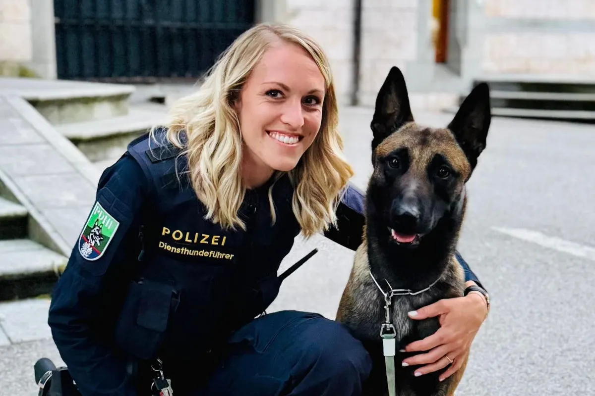 Gmunden OÖ – Polizeihund Black Jack rettet vermisste Frau