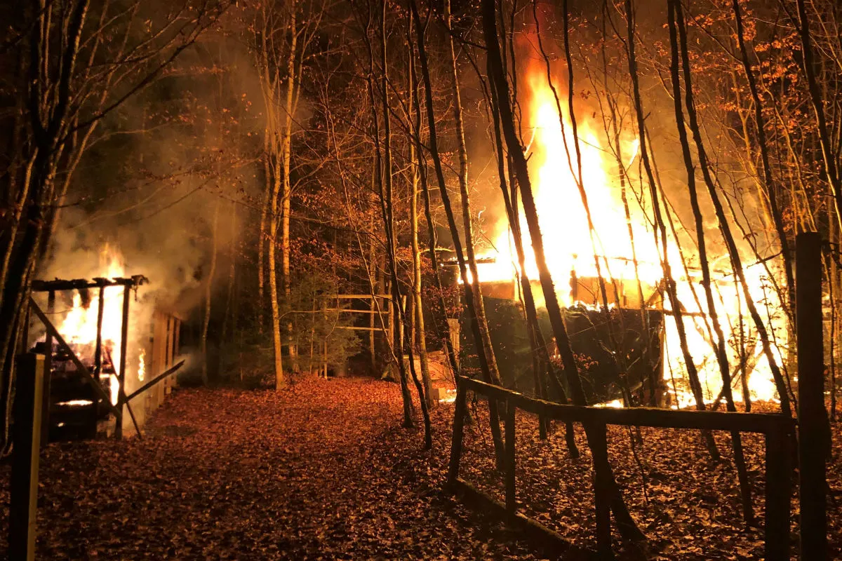 Hausen AG - Holzschuppen in Brand geraten - Zeugenaufruf