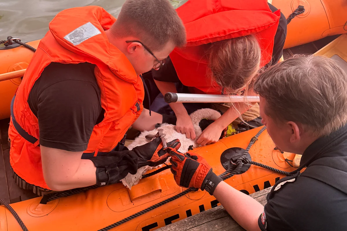 Tierische Rettungen von Feuerwehr und Polizei 2025 – Teil 3