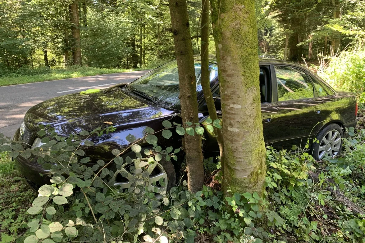 Uster - 19-Jähriger verliert Kontrolle über Audi und prallt in Baum