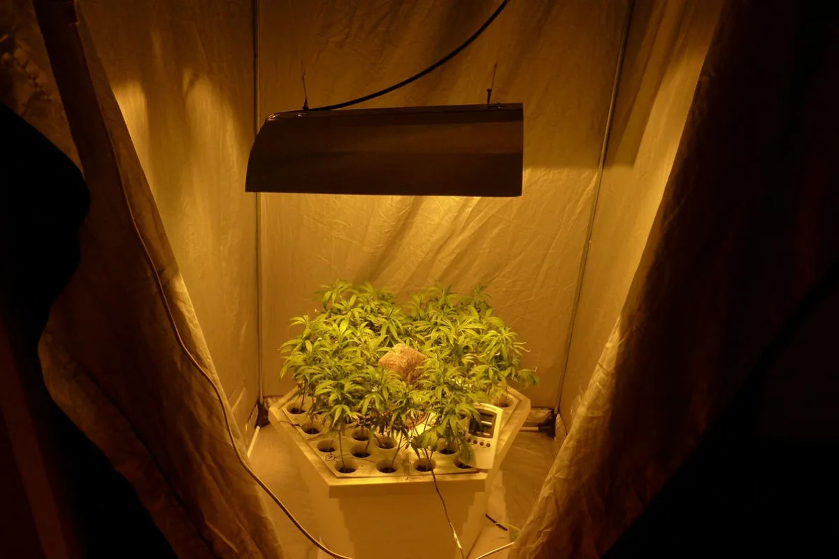 Minden - Polizei hebt Drogenplantage aus
