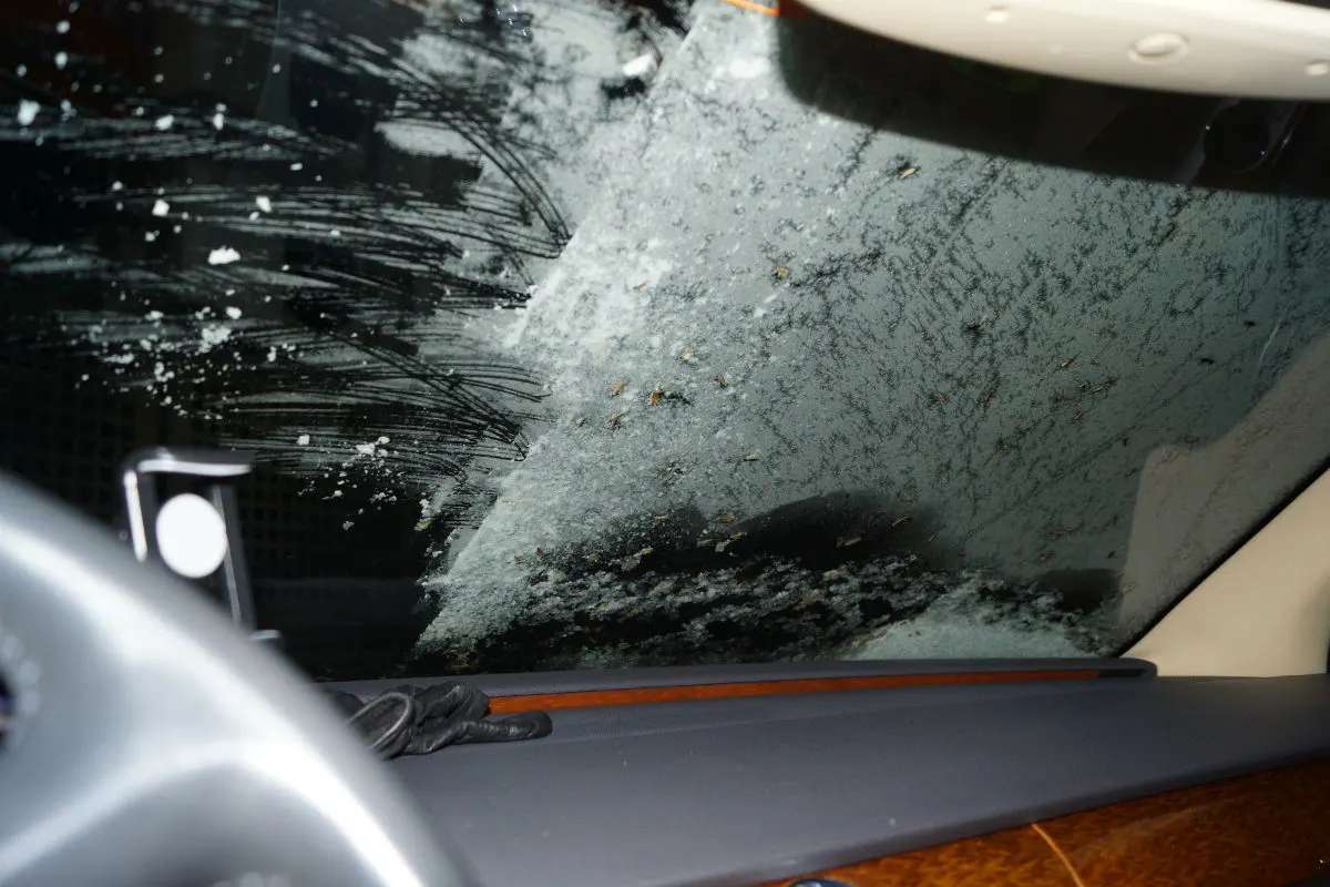 Kanton ZG - Polizei stoppt mehrere Iglufahrer