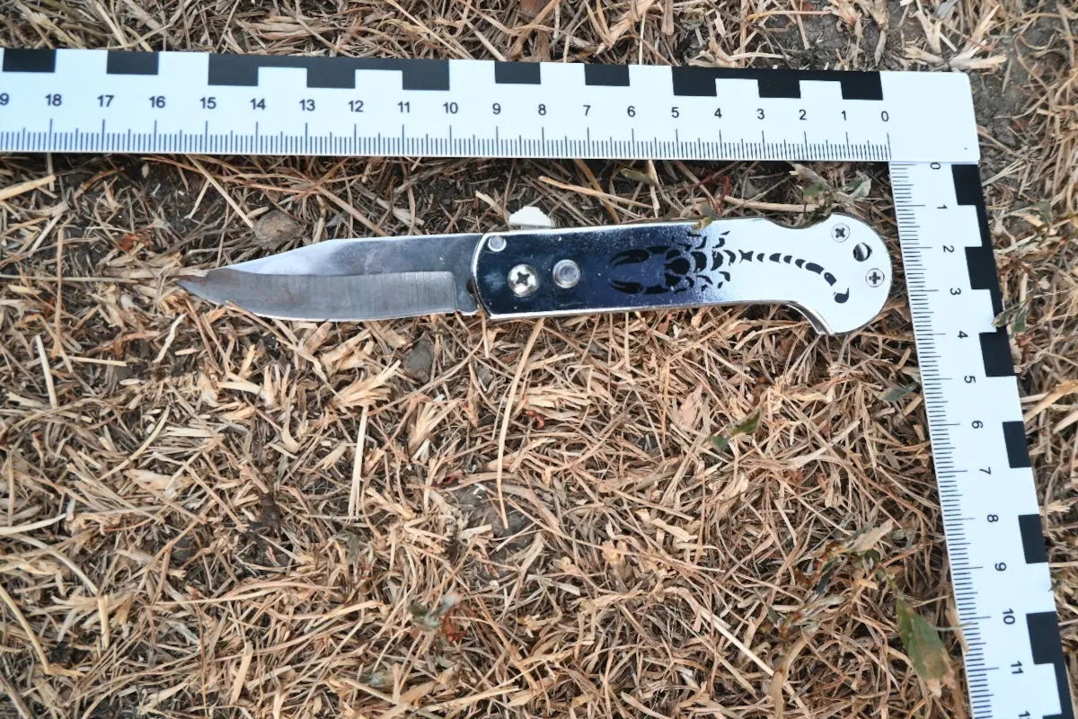 Ein Messer mit einem skorpionartigen Design liegt auf trockenem Gras. Ein Maßband ist neben dem Messer platziert, um seine Länge zu dokumentieren.