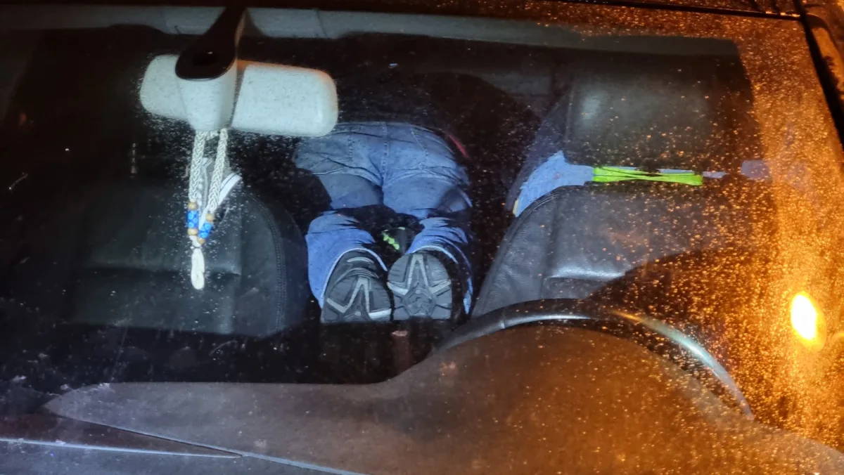 Erfurt – Totstellen schützt vor Strafe nicht
