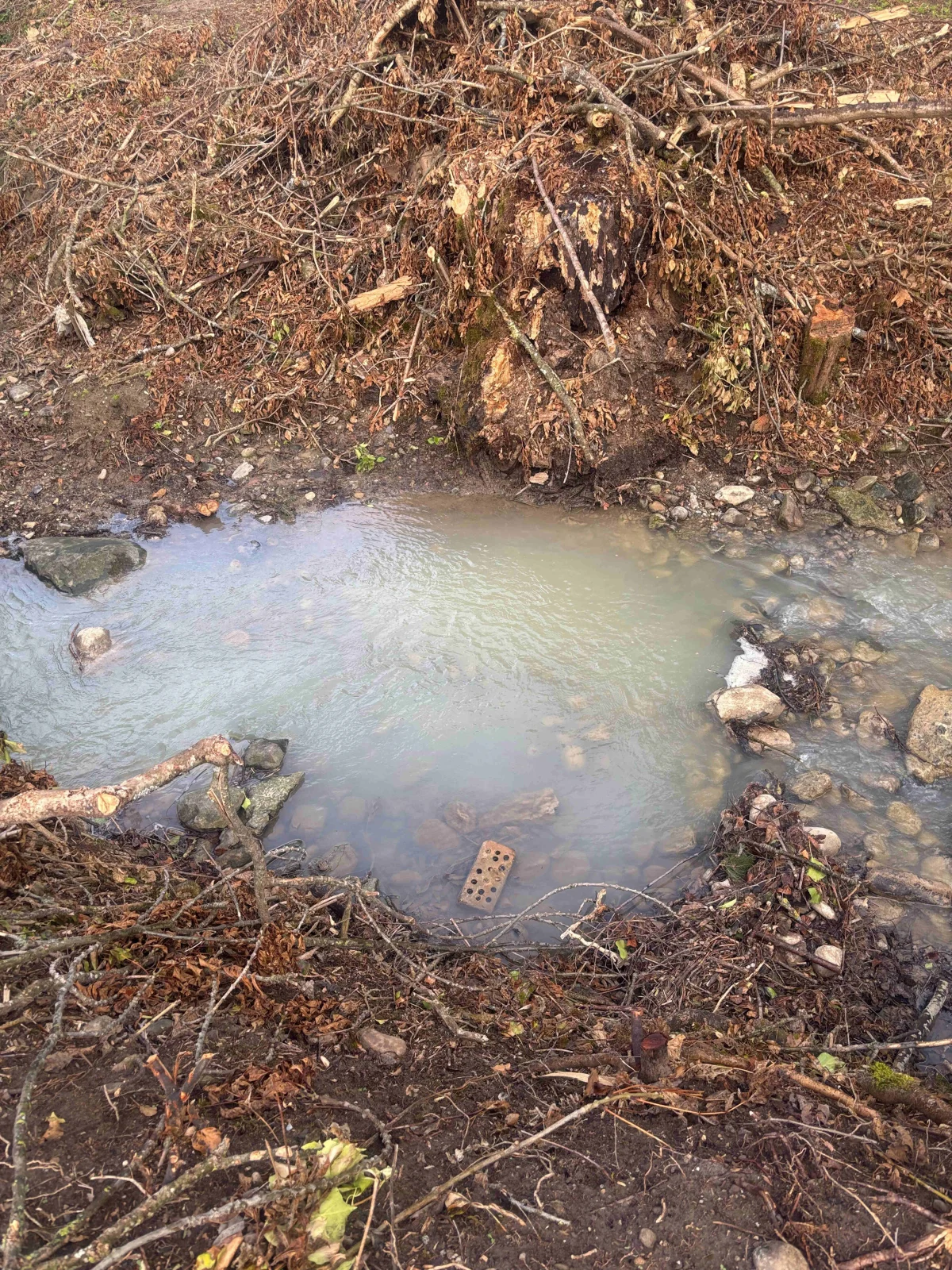 Waldkirch SG – Trübes Wasser im Rüerenbächli 