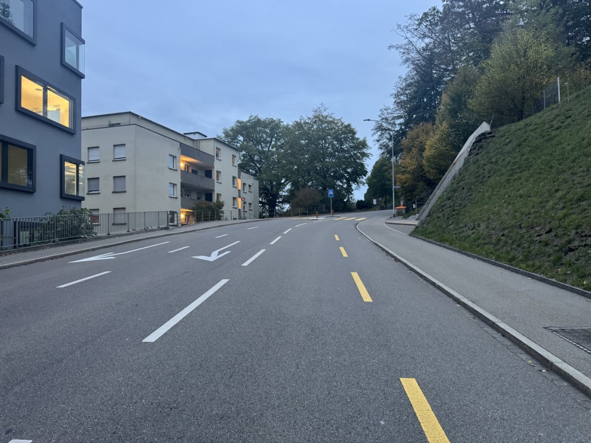 Eine leere Straße in einem Wohngebiet mit angrenzenden Wohnhäusern und Bäumen. Es ist abends, die Straßenmarkierungen sind deutlich sichtbar.