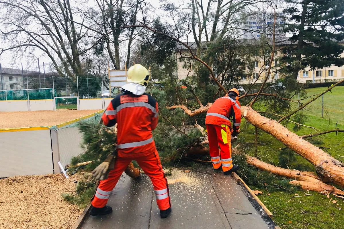 Kanton Zürich – Orkantief «Sabine» sorgt für über 300 Feuerwehreinsätze