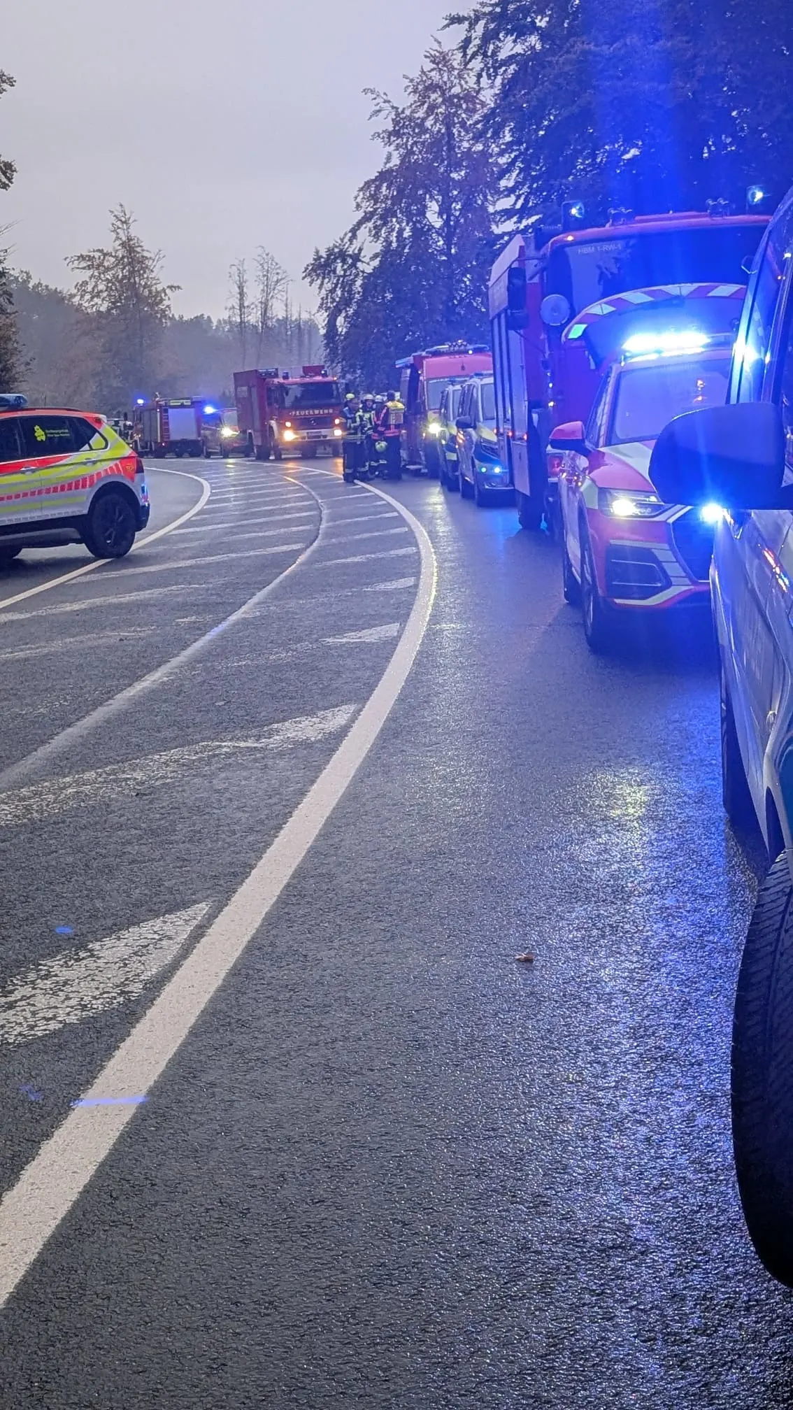 Mehrere Einsatzfahrzeuge mit eingeschaltetem Blaulicht stehen auf einer regennassen Straße, umgeben von Wald.