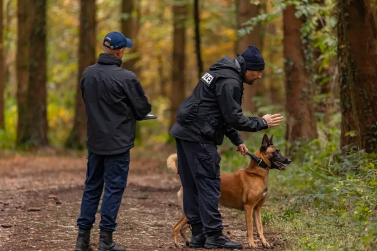 Möhlin AG - Zwei Diensthunde - Zwei Festnahmen nach Einbruch