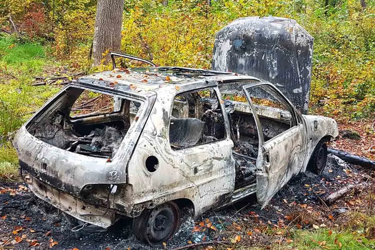 Zeugenaufruf aus Wollmatingen - Komplett ausgebranntes Auto im Waldstück