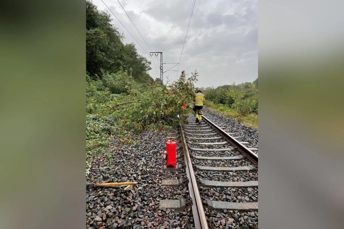 Essen - Bochum – Baum stürzt in Oberleitung und fängt Feuer 