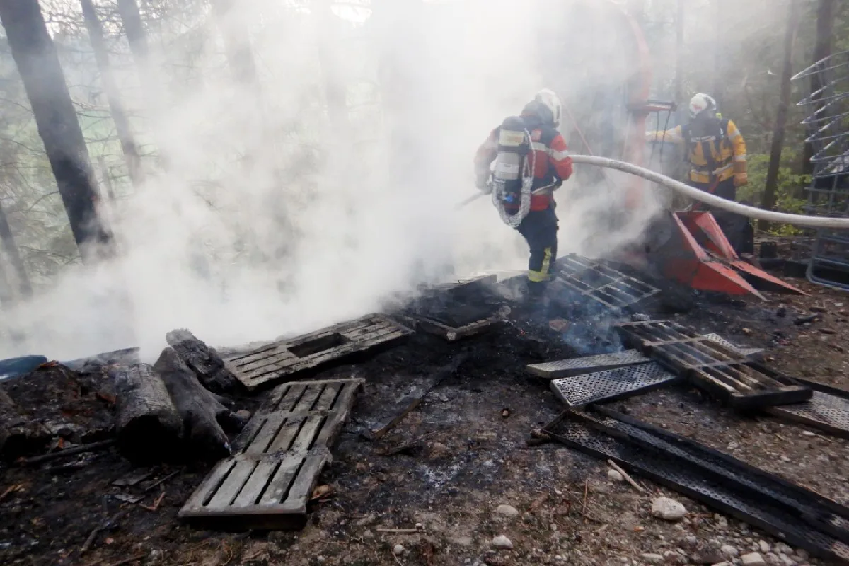 Au TG - Waldboden in Brand gesetzt