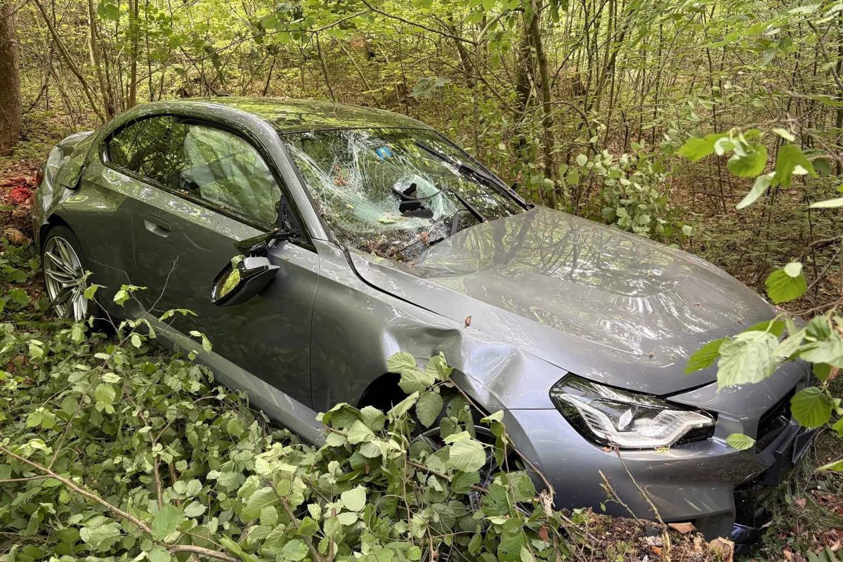 Ein silbernes Auto mit beschädigtem Vorderteil steht im Wald. Die Windschutzscheibe ist stark beschädigt.