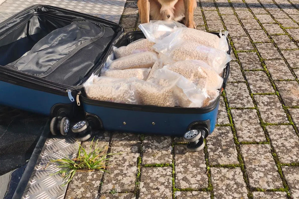 Beverungen – Polizeihund entdeckt 65 Kilogramm Drogen