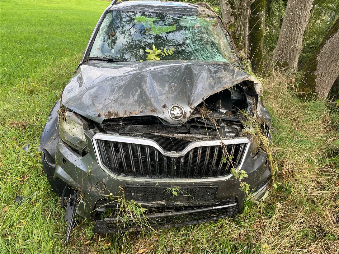 Ein schwarzer SUV ist stark beschädigt, mit verbeulter Vorderseite und Gras darauf. Er steht in einer Wiese neben Bäumen.