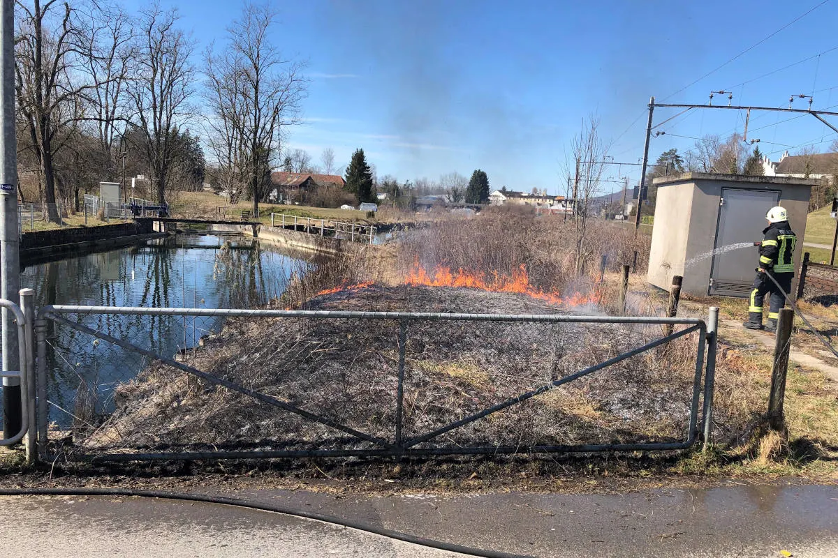 Bürglen TG – Brand von Schilf