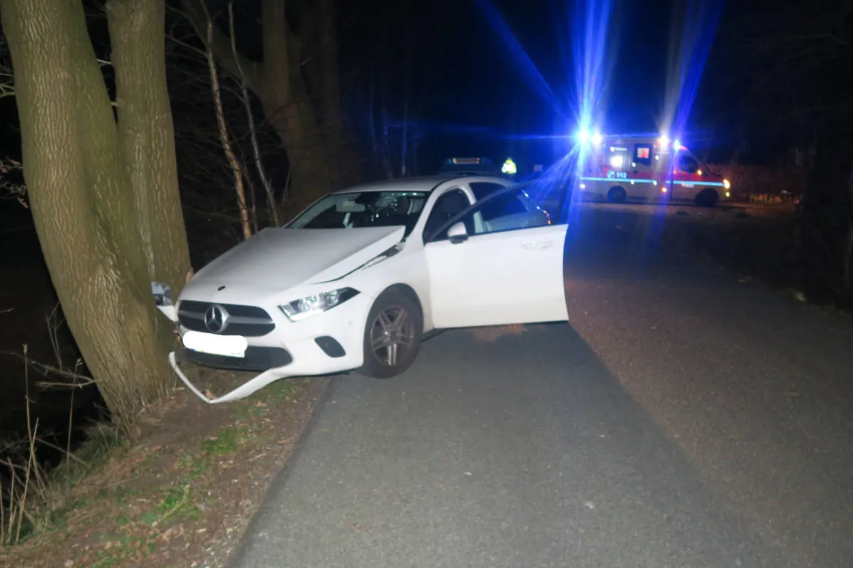 Hatten – Pkw prallt gegen Baum
