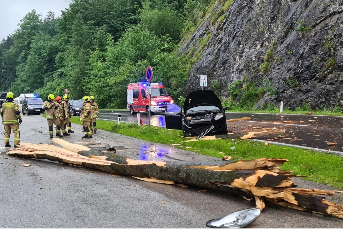 Gmunden - Baumstamm fällt aus 30 Meter Höhe auf Straße