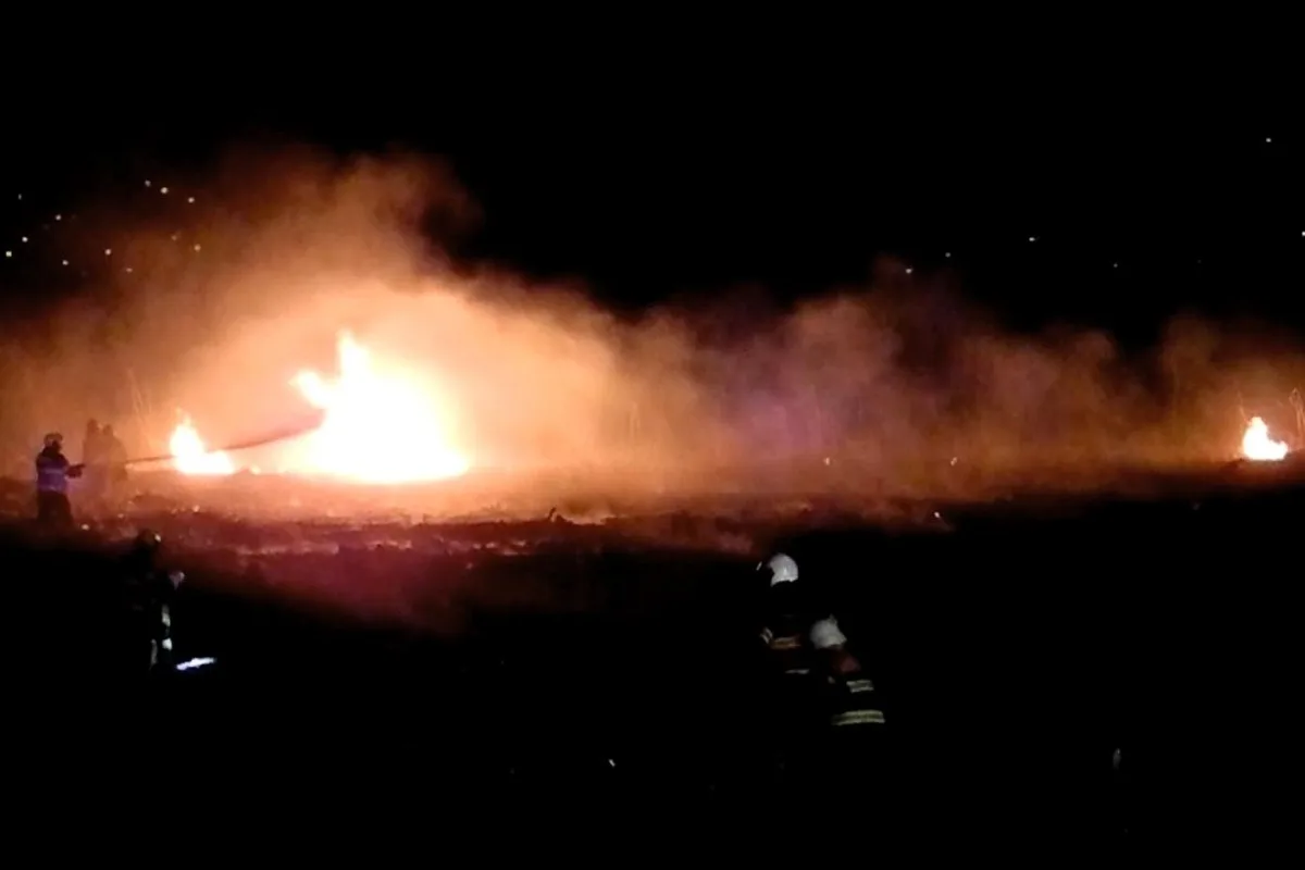 Willerzell SZ - Flächenbrand in Schilfgürtel