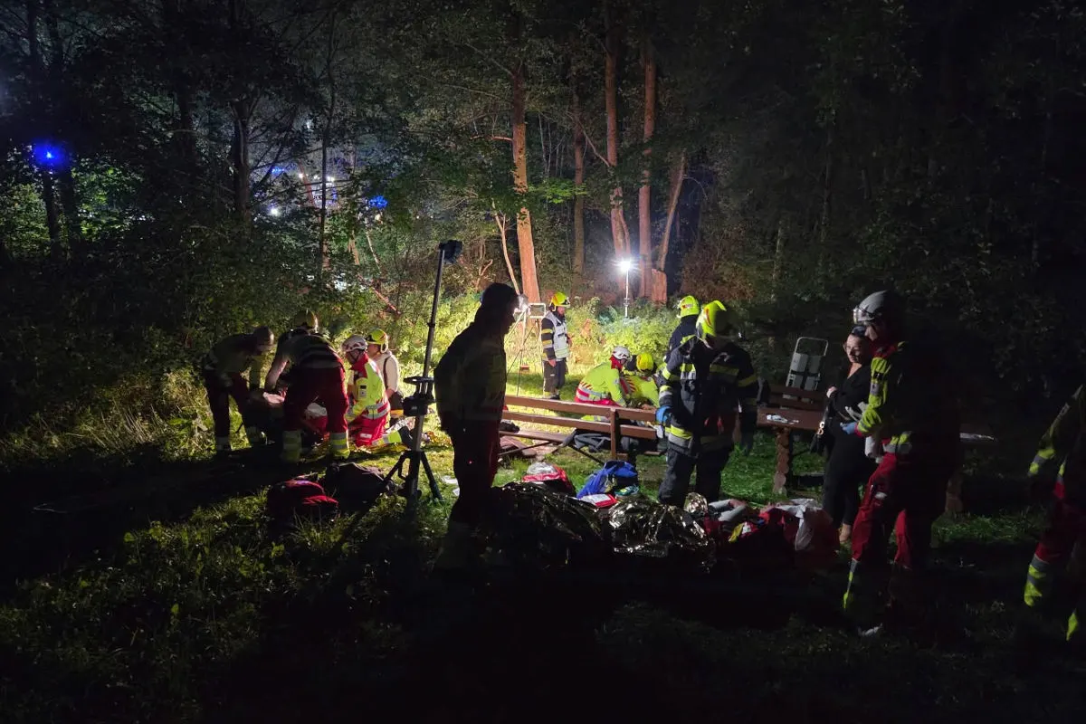 In einem Wald sind Rettungskräfte bei Nacht im Einsatz. Beleuchtete Helfer behandeln Verletzte auf einer Lichtung.
