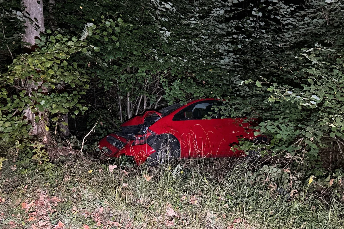 Ein rotes Auto steht mit beschädigter Front im Wald, umgeben von Bäumen und Sträuchern. Das Fahrzeug hat sichtbare Schäden an der Frontpartie.