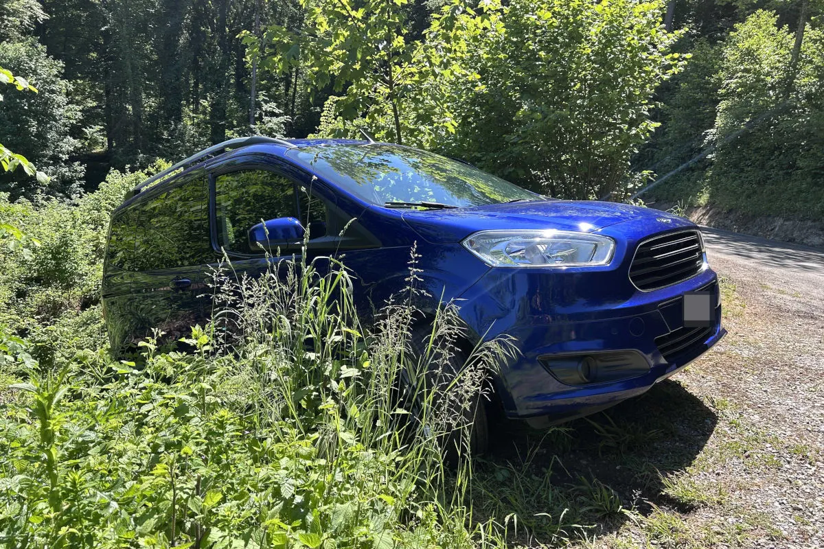 Ein blaues Fahrzeug steht teilweise verdeckt von hohen Gräsern am Rande eines Waldbereichs. Der Himmel ist klar und die Szene wird von Tageslicht beleuchtet.